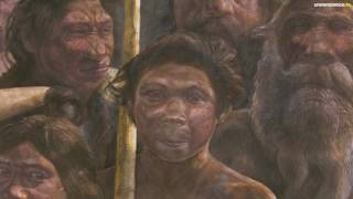 Des nouvelles de Neandertal [upl. by Liborio]