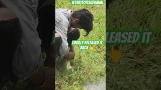 Final Part 6Raja Catches a Big Pacu FishAmazing angling show fishinglifevillage please Subscribe [upl. by Atilegna751]