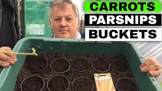 How to Grow Carrots and Parsnips in Buckets  Totes  Container Gardening  Gardening for Beginners [upl. by Brocky]