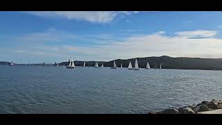 Yachting day on the Gosford Waterfront [upl. by Yklam]