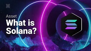 What is Solana Solana Coin SOL [upl. by Refinnaj22]