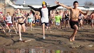 L Street Brownies Polar Bear Plunge [upl. by Linnie506]