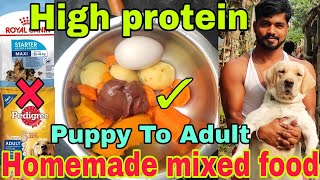 Homemade dog food kese banaye vegetable amp chicken mixed homemade dog food recipe best dog foodrecipe [upl. by Aeret]