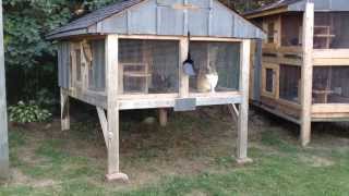 How to Build a Rabbit Hutch update [upl. by Jovia]