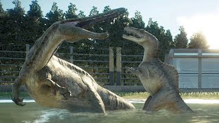 Suchomimus Vs Spinoraptor  Jurassic World Evolution 2 [upl. by Seth]