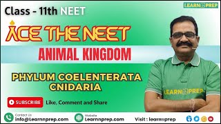 Phylum Coelenterata Cnidaria  Animal Kingdom  NEET  Biology  Class 11th neet goc biology [upl. by Terrill]