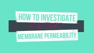 How to Investigate Membrane Permeability [upl. by Havelock]