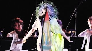 björk lionsong vulnicura strings version [upl. by January]