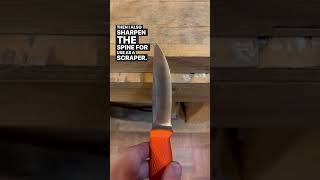 Camp knife complete regrind and makeover beforeandafter kniferestoration sharpener sharpening [upl. by Vano]