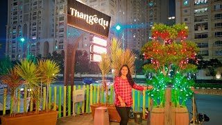 Thangedu Restaurant  Hitech city  best restaurant in Hyderabad [upl. by Ettelorahc]