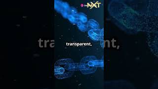 NXT Token Why Its the Next Big Thing in Crypto Investment [upl. by Ilowell689]