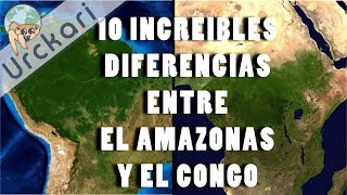 10 Increíbles Diferencias entre Las selvas del Amazonas y el Congo [upl. by Nylad415]