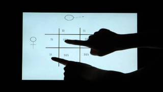 Biology Help Biology 123 Chapter 9 InheritanceA light Overview [upl. by Seta]