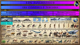 Las Eras Geológicas 5 La Era Cenozoica [upl. by Suckram]