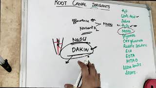 root canal irrigants [upl. by Ebba]