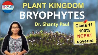 Bryophytes Plant kingdom [upl. by Goodden]