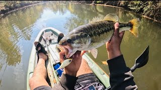 Fishing the Etowah River TOPWATER bites only Crazy Actionfishing [upl. by Ollayos]