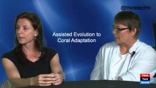 Assisted Evolution to Coral Adaptation  Ruth Gates and Madeleine van Oppen [upl. by Maon152]