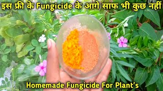 How To Make A Baking Soda Pesticide amp Fungicide Spray NATURAL amp EFFECTIVE [upl. by Ng]