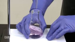 Setting up and Performing a Titration [upl. by Anatsirhc244]