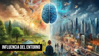 Cómo el Entorno Moldea tu Cerebro Impacto y Evidencia del Desarrollo Neural [upl. by Nallid622]