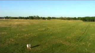 F2D FAI Control Line Combat Practice Texas Style Model Airplanes [upl. by Yentruok992]