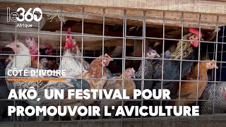 Côte d’Ivoire Akô un festival pour un secteur avicole qui a du plomb dans l’aile [upl. by Bunns966]