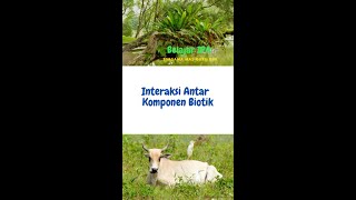 Interaksi ANTAR KOMPONEN BIOTIK [upl. by Dhiren]