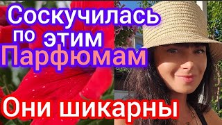 Как же я соскучилась по этим парфюмам 🙌 [upl. by Mazurek456]