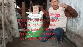 Herbisida pembasmi Gulma dan pupuk UREA PETROBelanjamulyanto S P P  S P M A petani tangguh [upl. by Aikehs]