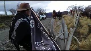 casamiento mapuche pehuenche lonquimay con grupo pehuenches [upl. by Ailatan]