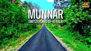 A Solo Forest Walk in Munnar 4K HDR 🇮🇳  Retro Indian Driver  Keralas Switzerland [upl. by Eleanora]