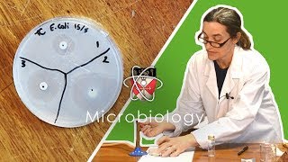 Microbiology  GCSE Science Required Practical Triple [upl. by Hujsak]