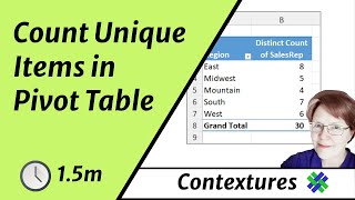 How To Use Count Distinct In An Excel Pivot Table Tutorial [upl. by Nnaeirrac842]