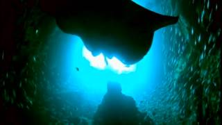 60 Minutes Freediving Breathtaking [upl. by Nerred]