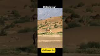 Balochistan place in dalbandin balochistandalbandinplace HAANIBALOCH [upl. by Naihtsirc786]