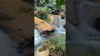 favang wallter fall travellaos xamtai  paonua [upl. by Zolly]