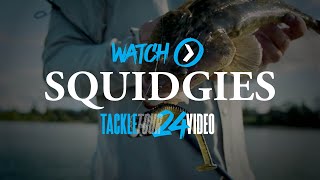 SHIMANO TACKLE TOUR 2024 Squidgies Ridge Shad [upl. by Margaretta]