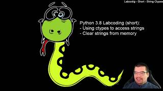 Python38  ctypes How to access string from memory and how to memset them Short Labcoding [upl. by Quiteria75]