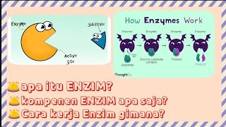 ENZIM  CIRI KOMPONEN DAN CARA KERJA ENZIM [upl. by Brackely]