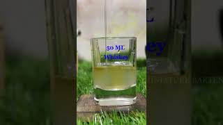 Jack Daniels Whiskey Cocktails whiskey vodka rum tequila gin cocktail viral howto goa [upl. by Oicor942]