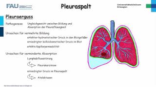 Chirurgie ─ Pleuraspalt Teil 12 [upl. by Flore]