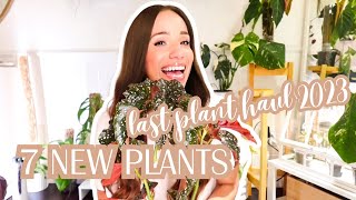 Last plant haul of 2023  7 rare  wishlist PLANTS [upl. by Okiek25]