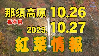 【犬とお出かけ】マウントジーンズ那須の山頂が楽しすぎた！ ゴンドラ 紅葉 ドッグラン マウントジーンズ那須 栃木県 那須町 那須高原 犬とお出かけ [upl. by Enahsed]