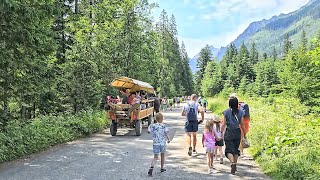 Morskie Oko Droga z parkingu do Morskiego Oka 4K60 HDR10 [upl. by Rammus]