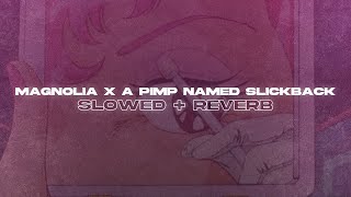 Magnolia x A Pimp Named Slickback Slowed  Reverb [upl. by Anikes132]