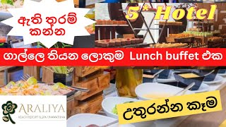 ගාල්ලෙ තියන ලොකුම Lunch Buffet එක  කෑම උතුරන්න තියන එකම Buffet එක buffet araliya 5starhotelfood [upl. by Eeraj968]