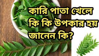 Health Benefits Of Curry Leaves Bangla  Curry patar upokarita  কারি পাতার উপকারিতা  Curry Pata [upl. by Rocher]