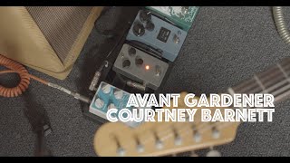 Avant Gardener by Courtney Barnett  Guitar Lesson [upl. by Ettenan]