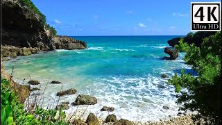 Tropical Wild Beach  Crashing Waves [upl. by Fauver]